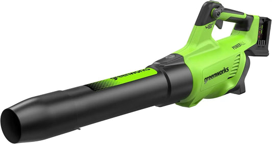 Greenworks souffleur de feuilles BL48L00-01 – sans fil, 48V / 24V