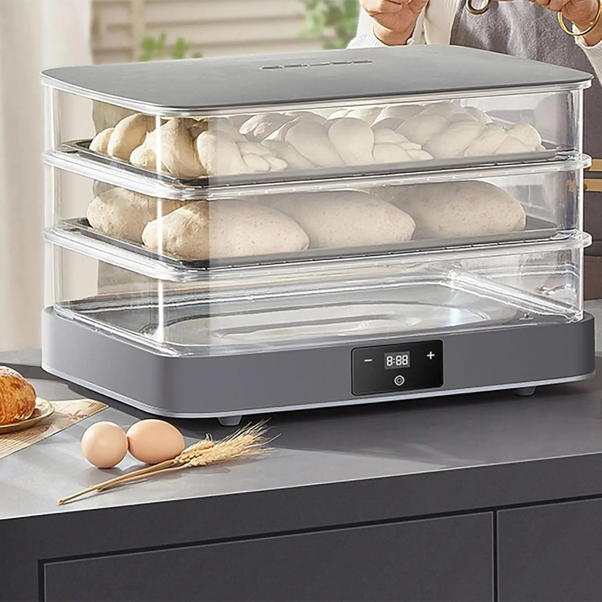 Boîte machine à pâtes – électrique, 40 L